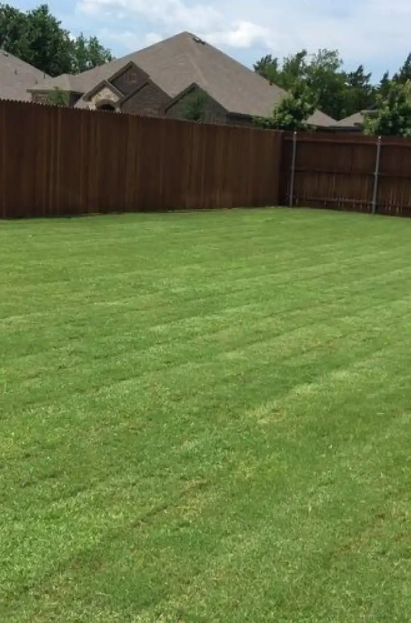 Lawn Mowing Service